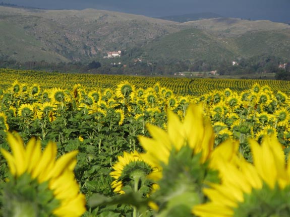 Valle de Punilla :: Córdoba, Argentina